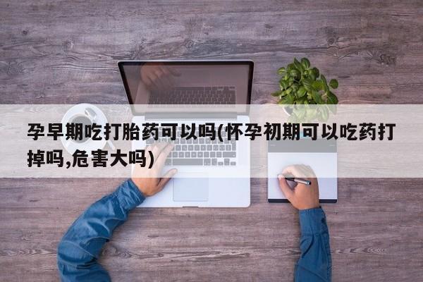 正品打胎药在线购买微信孕早期吃打胎药可以吗(怀孕初期可以吃药打掉吗,危害大吗)