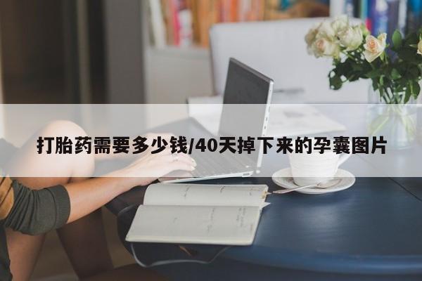 正品打胎药在线购买微信打胎药需要多少钱/40天掉下来的孕囊图片